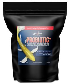Probiotic Plus