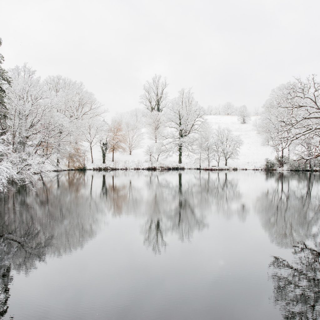 Pond in Winter